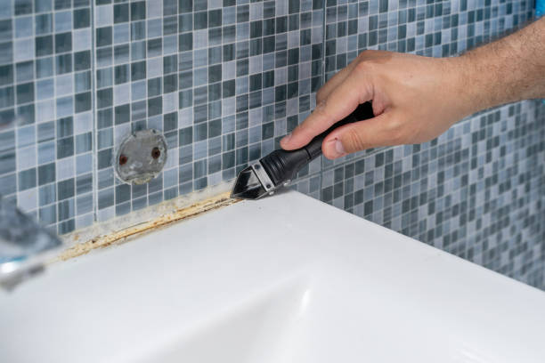 Best Emergency Mold Remediation in Union City, NJ